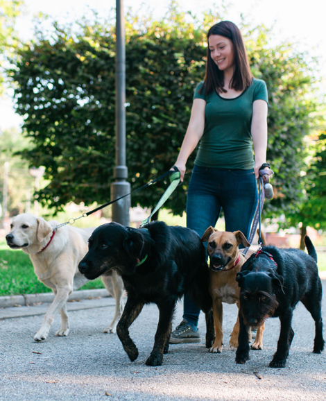 Dog Walkers Insurance for Canadian Pet Care Professionals